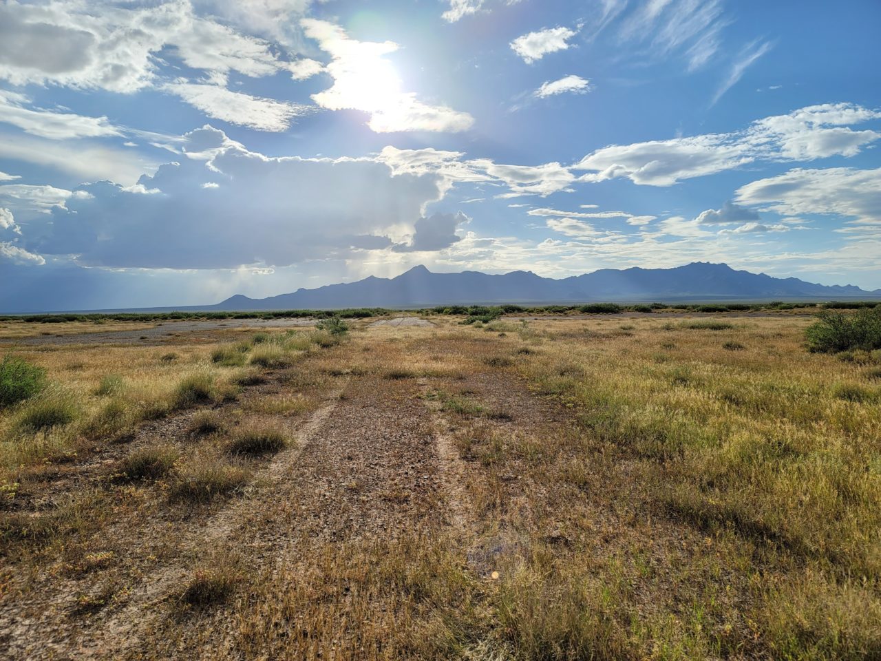 1 Acre Low Budget Deal in New Mexico only $99 Monthly