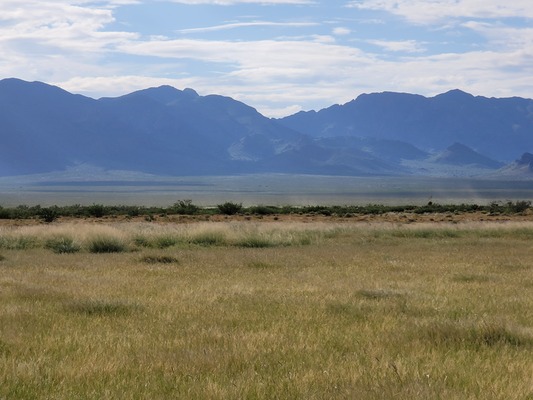 Rewarding ½ acres in NM only $75 monthly