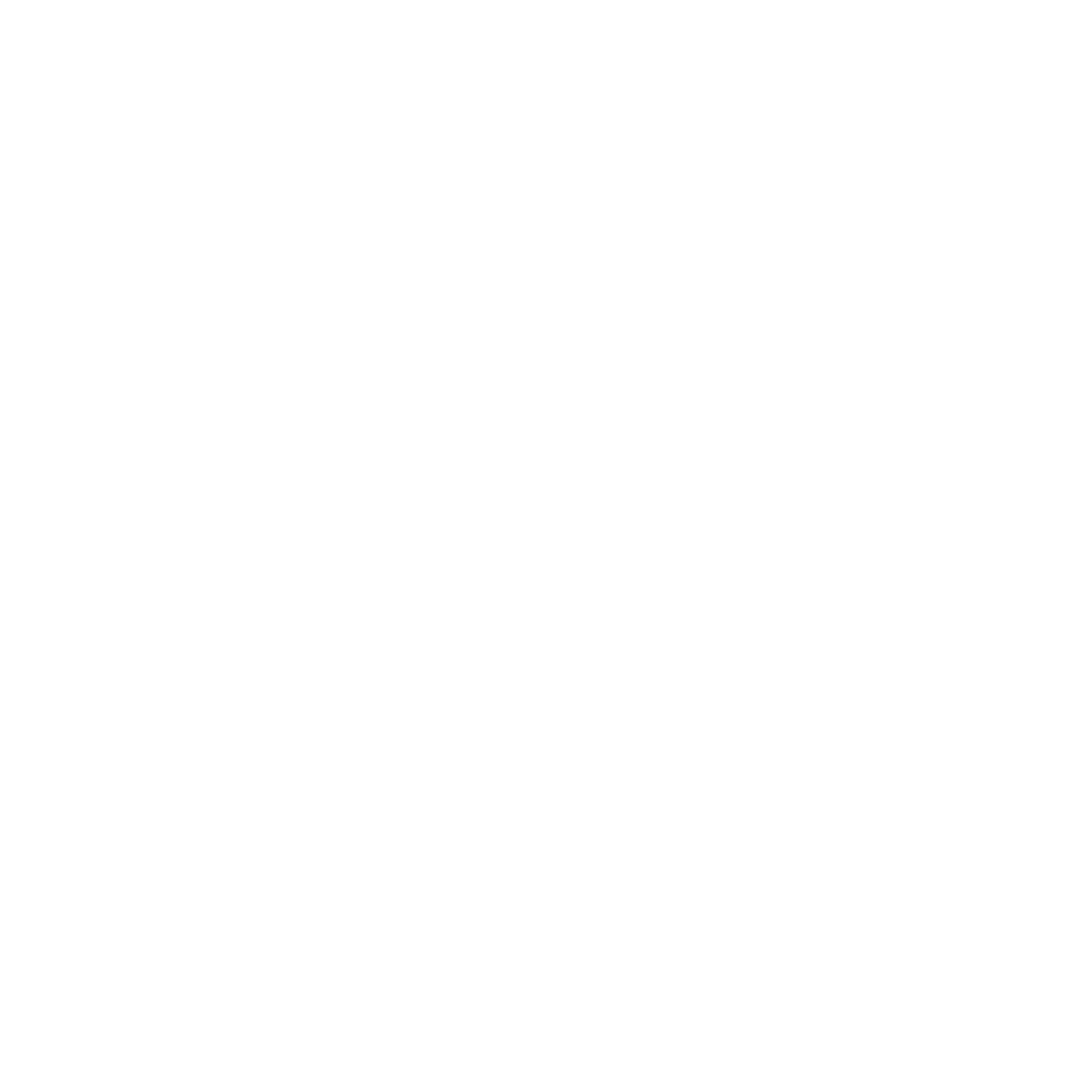 New Millennium Strategic Partner LLC